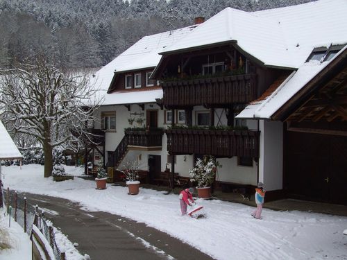 Winter Winter