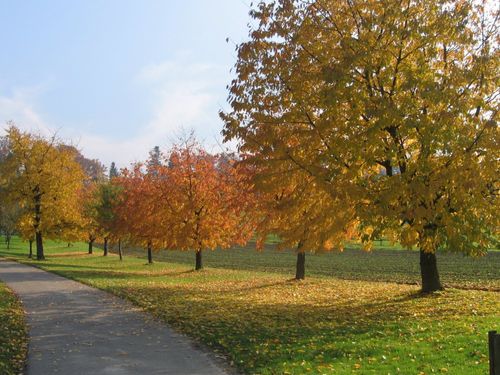 Herbst Herbst