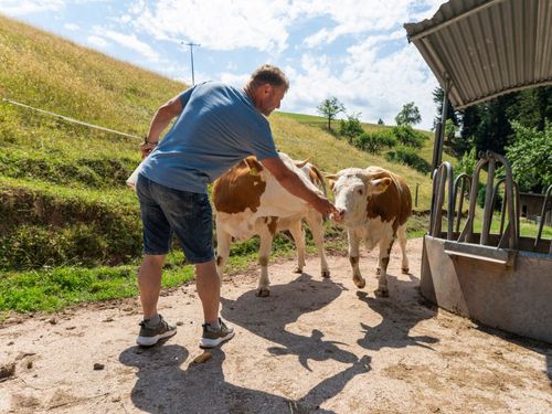 Landwirtschaft hautnah Landwirtschaft hautnah