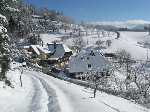 img_2583 img_2583