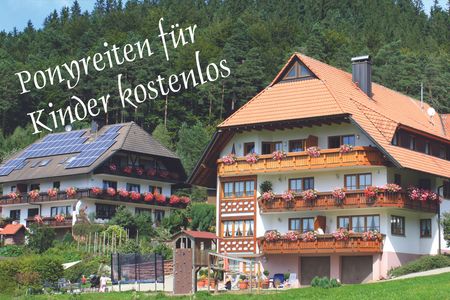 Hofansicht Schlosshof