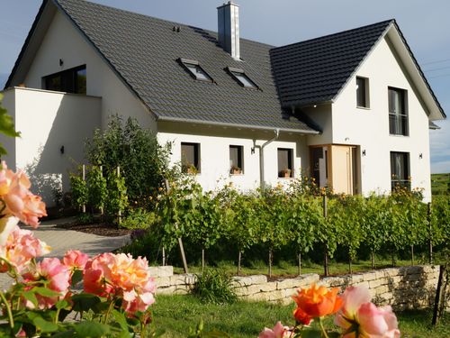 Neubau Neubau