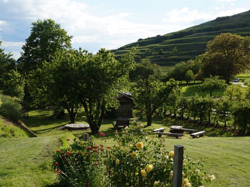 Garten Garten