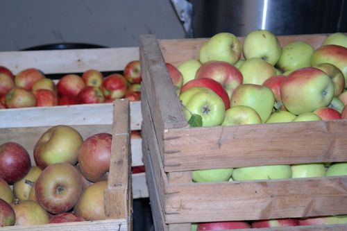 Hofprodukte Hofprodukte