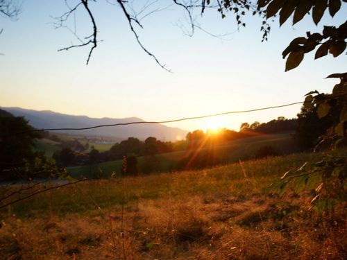 Morgensonne