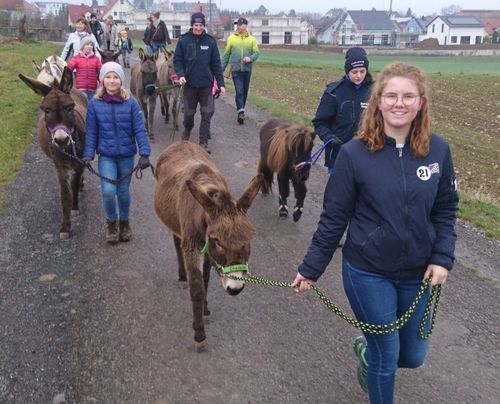 Eselwanderung Eselwanderung