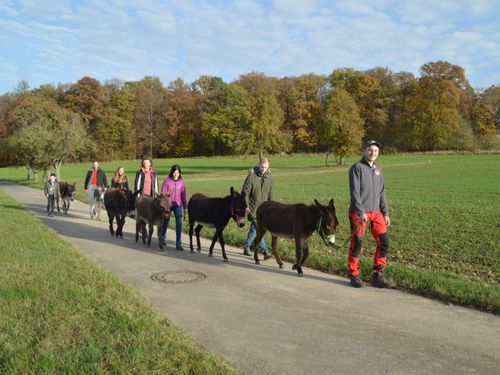 Eselwanderung Eselwanderung