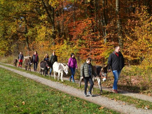 Eselwanderung Eselwanderung