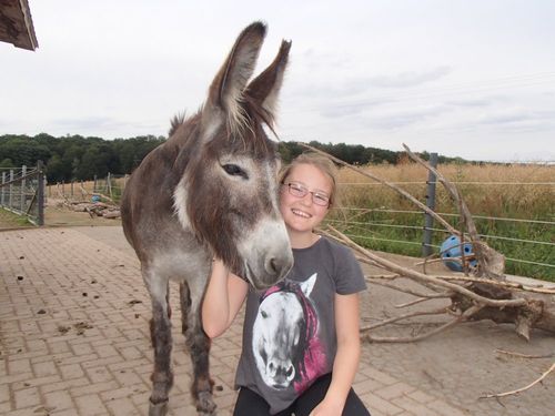 Eselkuscheln Eselkuscheln