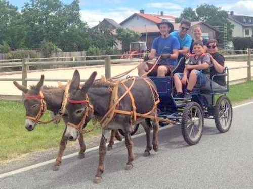 Kutschfahrt Kutschfahrt