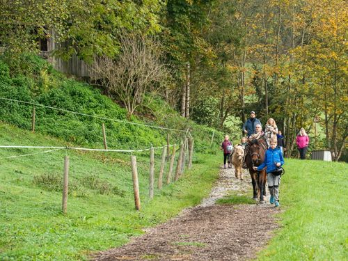 Auf dem Weg zum Reitunterricht Auf dem Weg zum Reitunterricht