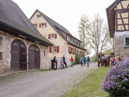 Leben auf unserem Hof Leben auf unserem Hof