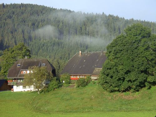 oberhoefenhof_morgennebel