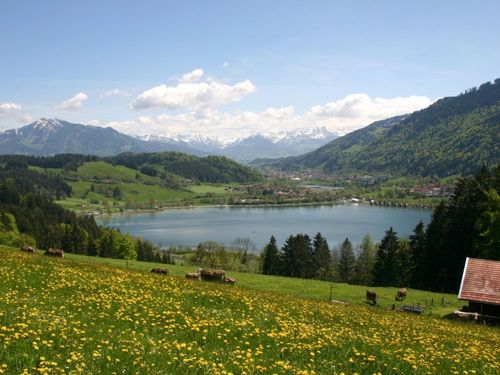 Alpseeblick Alpseeblick