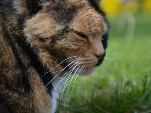 dsc_0721 dsc_0721