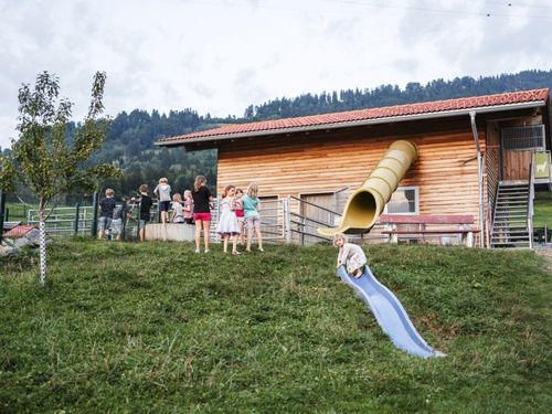 auf gehts zu den Tieren
