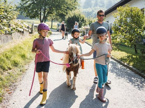Ponyausritt