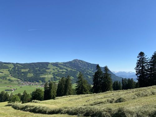 TRAUMLANDSCHAFT UMS HAUS TRAUMLANDSCHAFT UMS HAUS