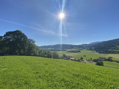 EINFACH SCHÖN... EINFACH SCHÖN...