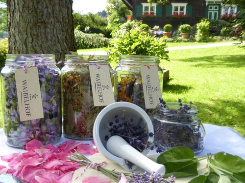 Waibelhof - Kräutertee - ganz frisch im Glas Waibelhof - Kräutertee - ganz frisch im Glas