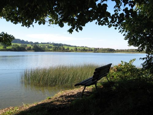 Am Niedersonthofener See