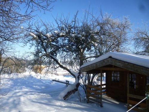 Winter Winter