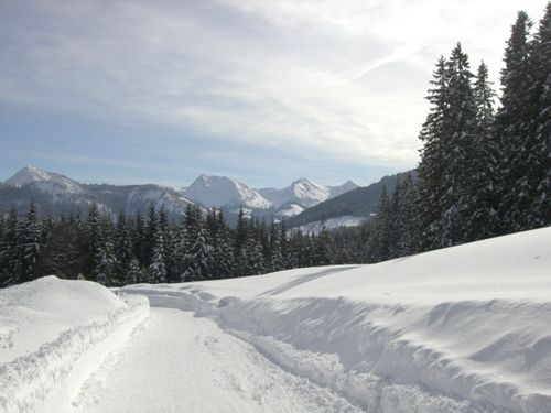 Winterwanderung Winterwanderung
