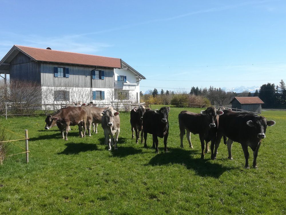 Tierisch wohlfühlen Tierisch wohlfühlen