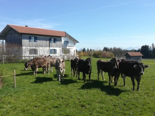 Tierisch wohlfühlen Tierisch wohlfühlen