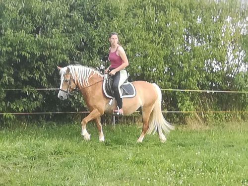 Reiten Reiten