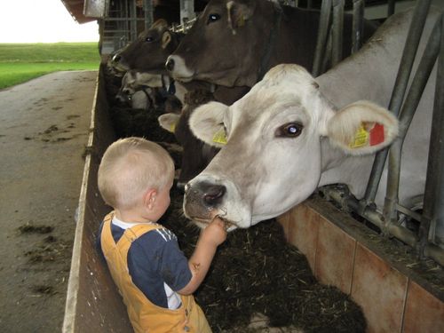 Bei uns im Stall - Landwirtschaft hautnah erleben Bei uns im Stall - Landwirtschaft hautnah erleben