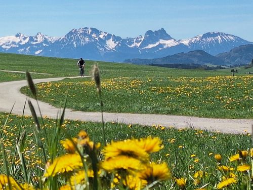 die Weite genießen die Weite genießen