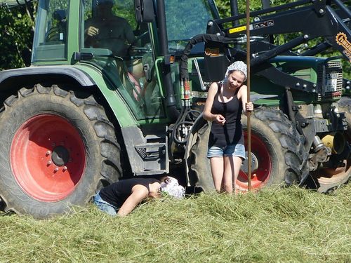 Heuen im Sommer Heuen im Sommer