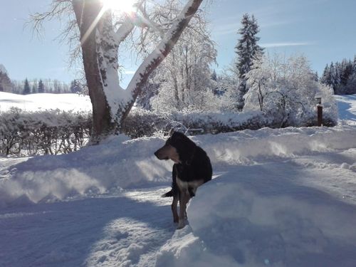 Schnee ohne Ende Schnee ohne Ende