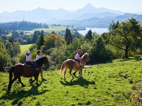 Ponyreiten macht Spaß Ponyreiten macht Spaß