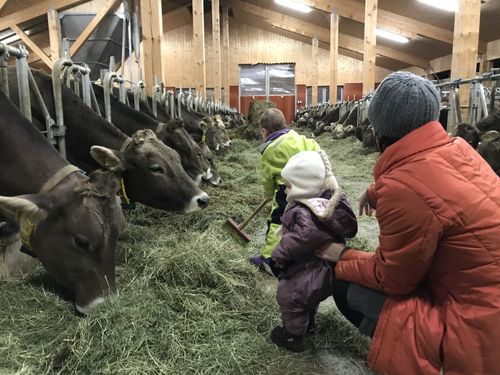Fleissige Helfer sind willkommen. Fleissige Helfer sind willkommen.