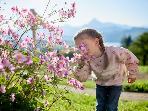 Die Blumen riechen gut. Die Blumen riechen gut.