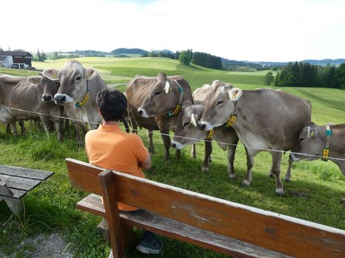 Auszeit Auszeit