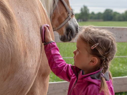 Ponyreiten