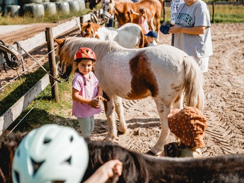 Ponys2