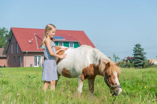 Unser Pony Schulzi