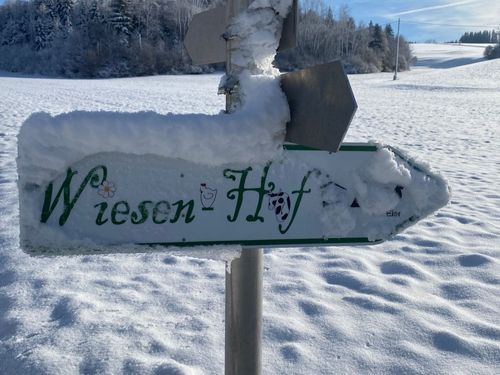Wiesen-Hof Wiesen-Hof