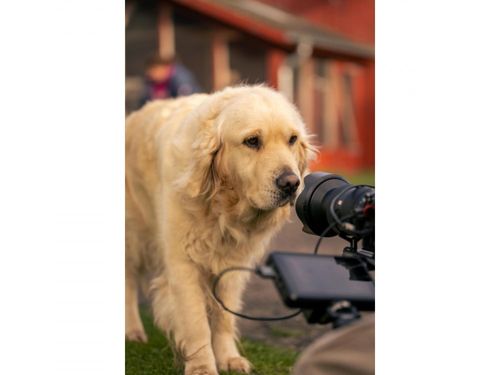Unser Hund Unser Hund