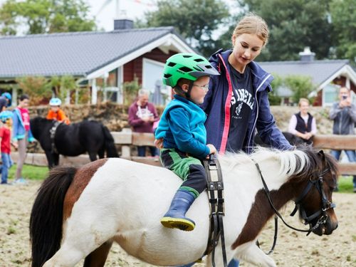 Reitrunden mit Pony Pippilotta Reitrunden mit Pony Pippilotta