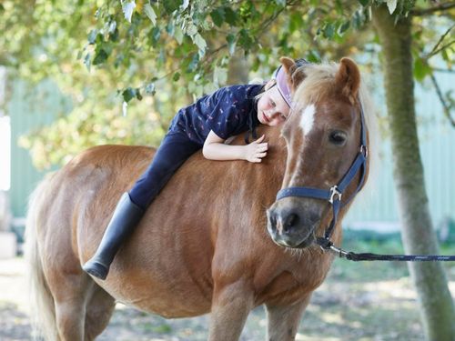 Unser Ponys und Pferde freuen sich auf euch Unser Ponys und Pferde freuen sich auf euch