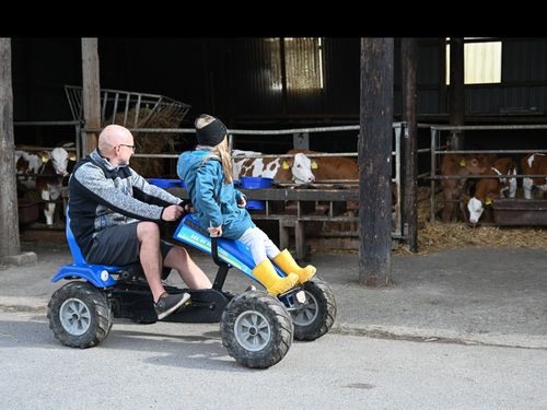 Gokarts Gokarts