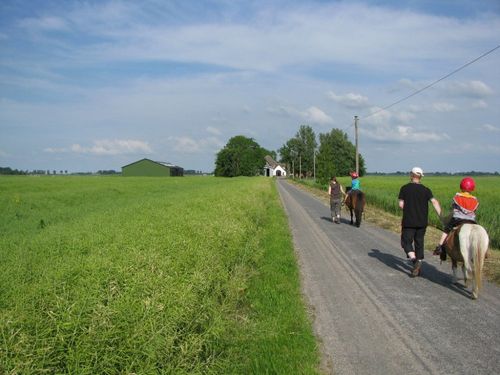 Gefuehrtes Ponyreiten