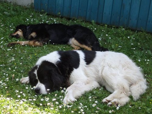 Bea und Dina