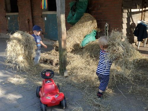 Kinder im Heu