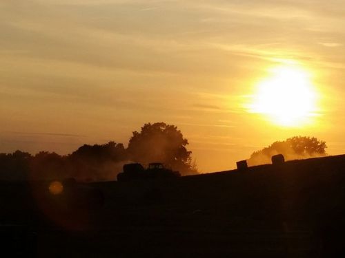 Ernte am Abend